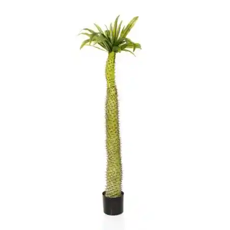 Artificial Coconut Palm Tree Smithers Artificial Trees & Plants £185.00      product_features