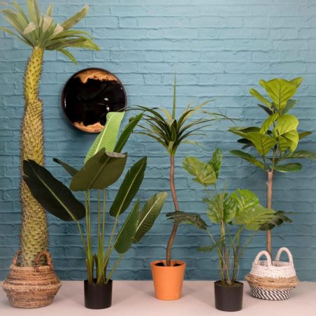 Artificial Coconut Palm Tree Smithers Artificial Trees & Plants £185.00      product_features