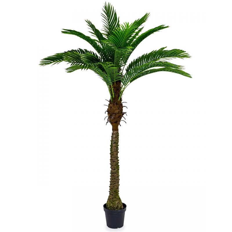 Artificial Coconut Palm Tree Smithers Artificial Trees & Plants £185.00      product_features