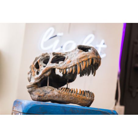 Wall-Mounted T-Rex Dinosaur Head Smithers Retro Ornaments £120.00      product_features