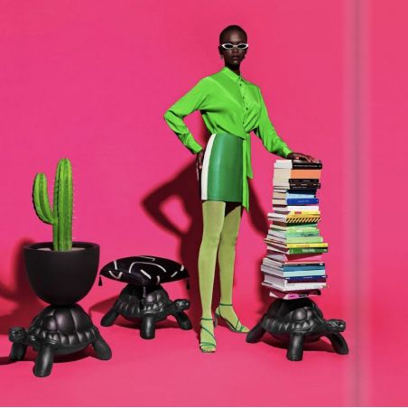 Turtle Carry Bookcase  Retro Ornaments £457.00      product_features