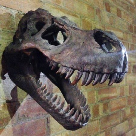 Wall-Mounted T-Rex Dinosaur Head Smithers Retro Ornaments £120.00      product_features