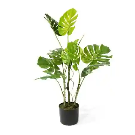 Monstera Plant  Artificial Trees & Plants £30.00      product_features