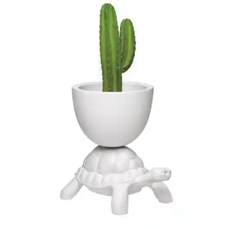 Turtle Carry Planter/ Champagne Cooler  Qeeboo £366.00      product_features