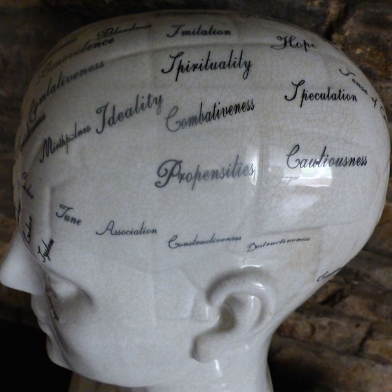 Phrenology Head Smithers Archives £100.00      product_features