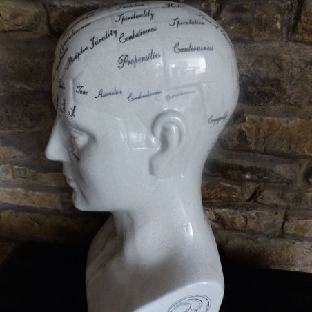 Phrenology Head Smithers Archives £100.00      product_features