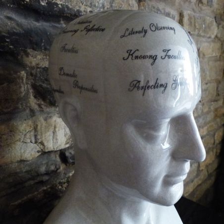 Phrenology Head Smithers Archives £100.00      product_features