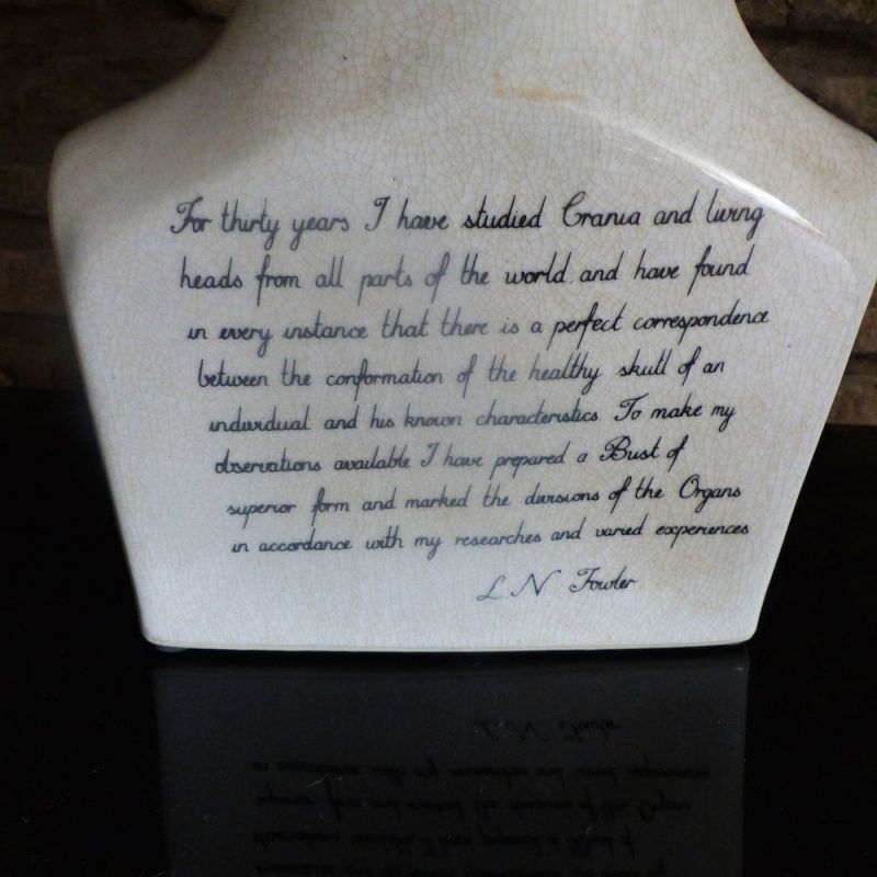 Phrenology Head Smithers Archives £100.00      product_features