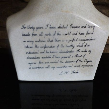 Phrenology Head Smithers Archives £100.00      product_features