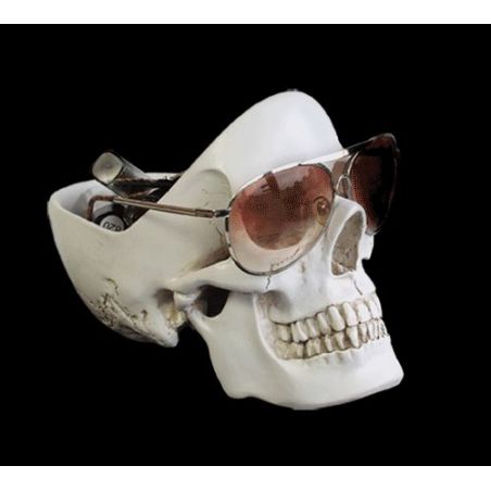 Skull Tidy Tray – Unique Skull Gift for Men’s Watches, Rings, Keys, and Jewellery Smithers Gifts £45.00      product_features