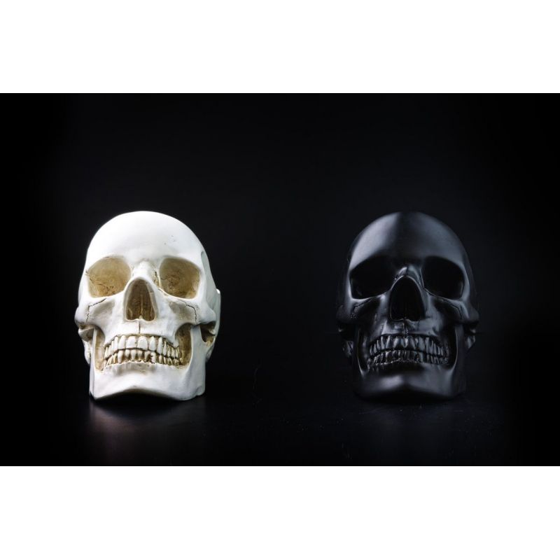 Skull Tidy Tray – Unique Skull Gift for Men’s Watches, Rings, Keys, and Jewellery Smithers Gifts £45.00      product_features