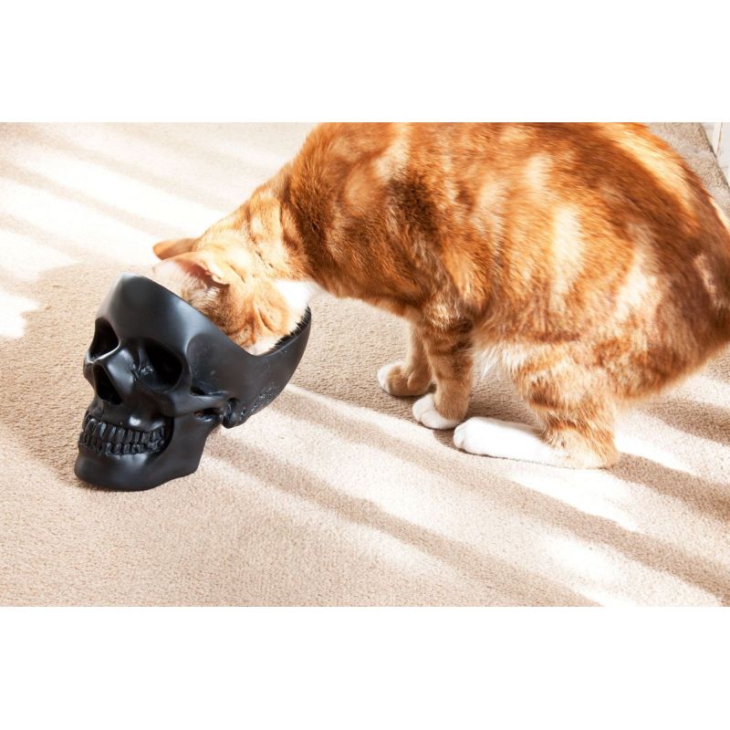 Skull Tidy Tray – Unique Skull Gift for Men’s Watches, Rings, Keys, and Jewellery Smithers Gifts £45.00      product_features