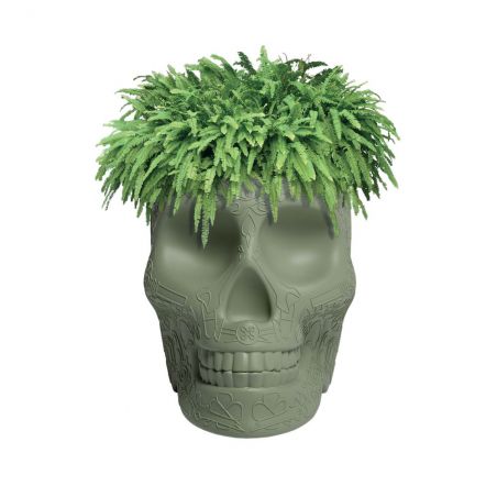 Skull Head Planter And Champagne Bucket Retro Ornaments &pound;236.00 product_features