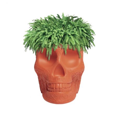 Skull Head Planter And Champagne Bucket Retro Ornaments &pound;236.00 product_features