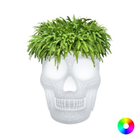 Skull Head Planter And Champagne Bucket Retro Ornaments &pound;236.00 product_features
