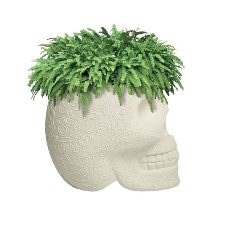 Skull Head Planter And Champagne Bucket Retro Ornaments &pound;236.00 product_features