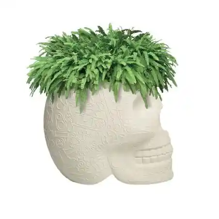 Skull Head Planter And Champagne Bucket Retro Ornaments &pound;236.00 product_features