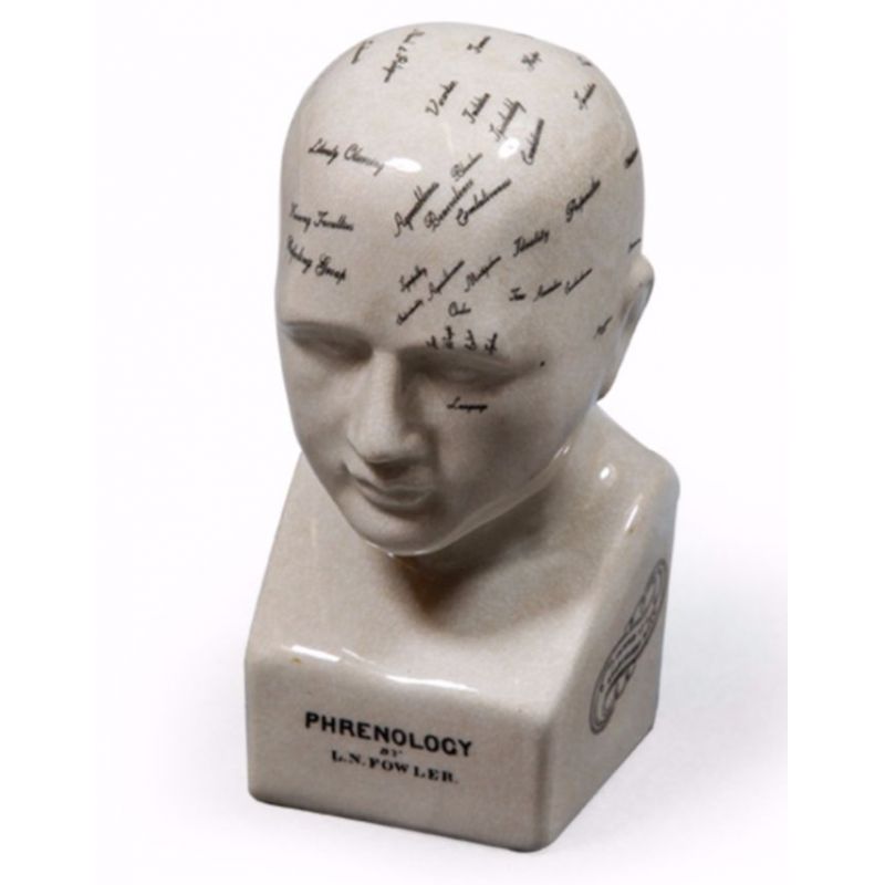 Phrenology Head Smithers Archives £100.00      product_features