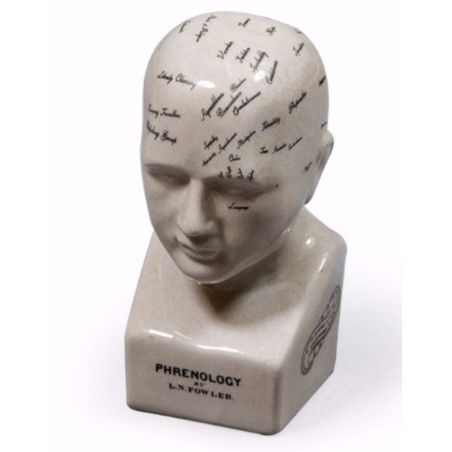 Phrenology Head Smithers Archives £100.00      product_features